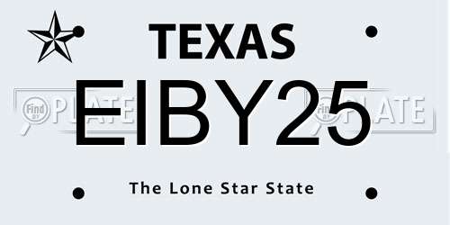 EIBY25 Texas License Plate