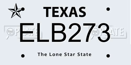 ELB273 Texas License Plate
