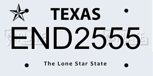END2555 Texas License Plate