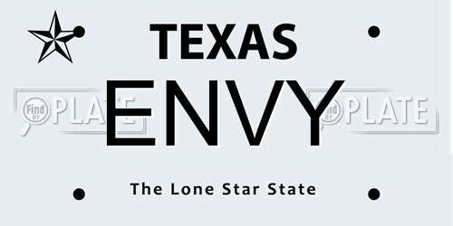 ENVY Texas License Plate