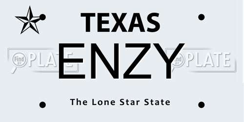 ENZY Texas License Plate