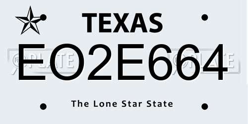 EO2E664 Texas License Plate