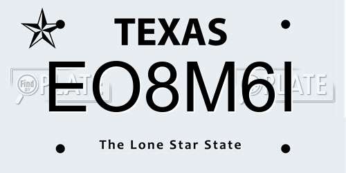 EO8M6I Texas License Plate