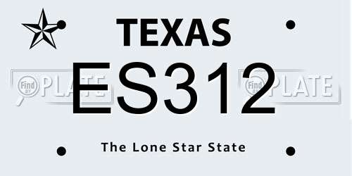 ES312 Texas License Plate