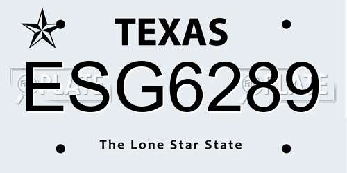ESG6289 Texas License Plate