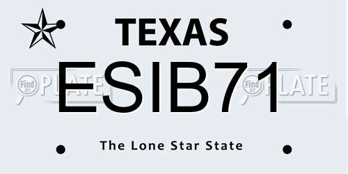 ESIB71 Texas License Plate