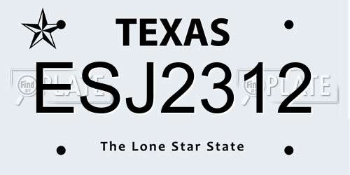 ESJ2312 Texas License Plate
