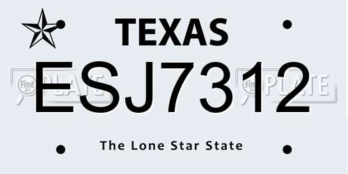 ESJ7312 Texas License Plate