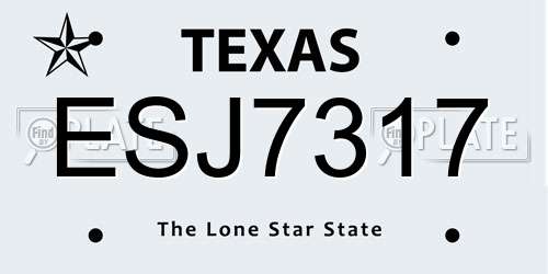 ESJ7317 Texas License Plate