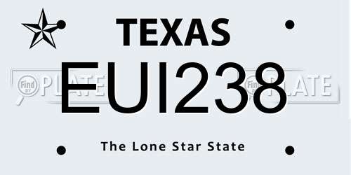 EUI238 Texas License Plate
