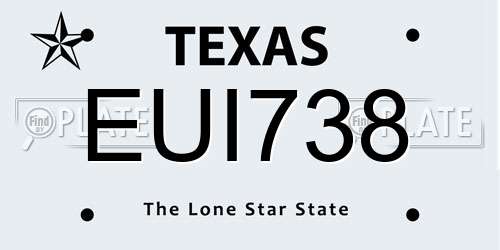 EUI738 Texas License Plate