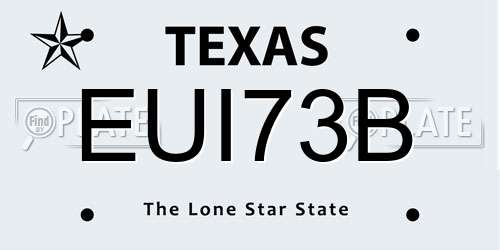 EUI73B Texas License Plate