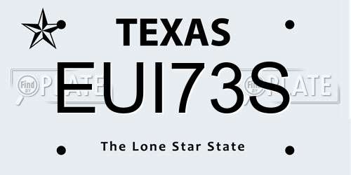 EUI73S Texas License Plate