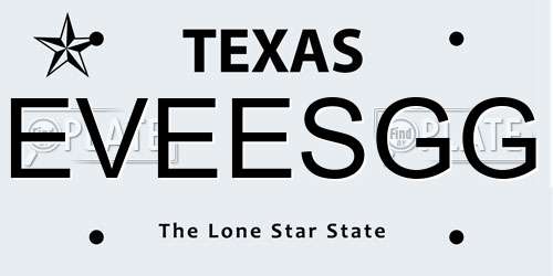 EVEESGG Texas License Plate