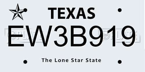 EW3B919 Texas License Plate