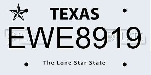 EWE8919 Texas License Plate