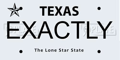 EXACTLY Texas License Plate