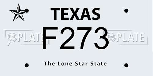 F273 Texas License Plate