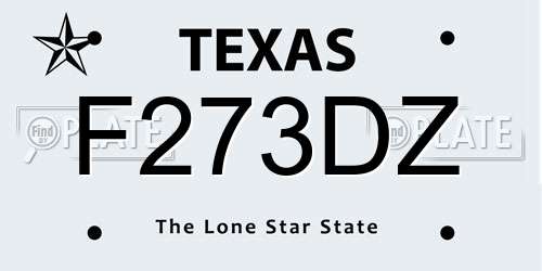 F273DZ Texas License Plate