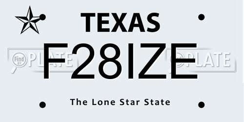 F28IZE Texas License Plate