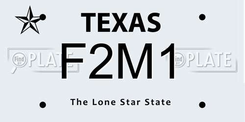 F2M1 Texas License Plate