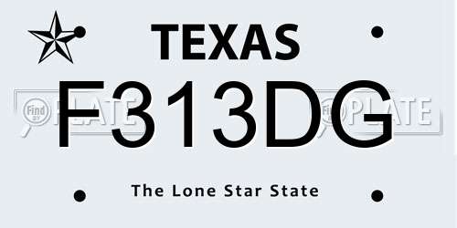 F313DG Texas License Plate