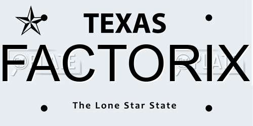 FACTORIX Texas License Plate