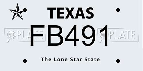FB491 Texas License Plate