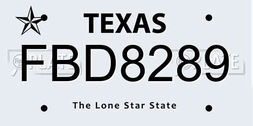 FBD8289 Texas License Plate
