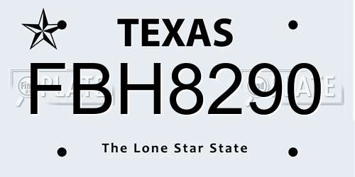 FBH8290 Texas License Plate