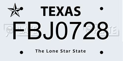 FBJ0728 Texas License Plate
