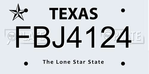 FBJ4124 Texas License Plate