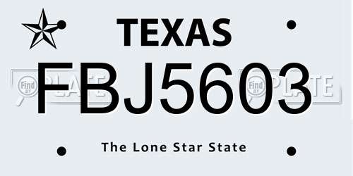 FBJ5603 Texas License Plate