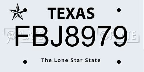FBJ8979 Texas License Plate