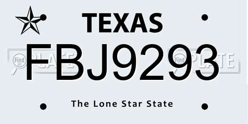 FBJ9293 Texas License Plate