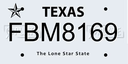 FBM8169 Texas License Plate