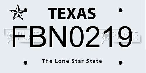 FBN0219 Texas License Plate