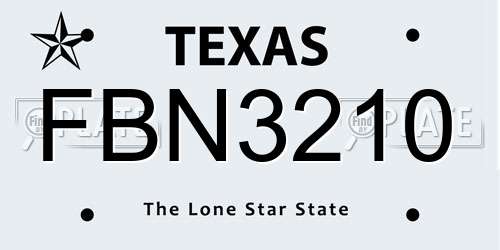 FBN3210 Texas License Plate
