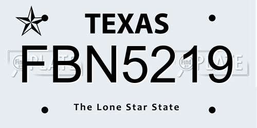FBN5219 Texas License Plate