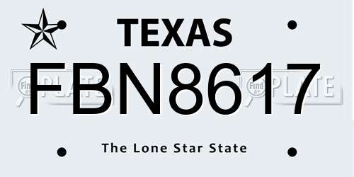 FBN8617 Texas License Plate