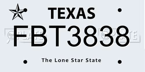 FBT3838 Texas License Plate