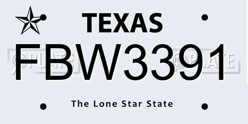 FBW3391 Texas License Plate