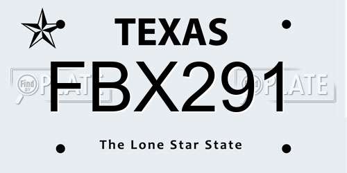 FBX291 Texas License Plate
