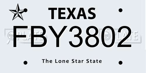 FBY3802 Texas License Plate