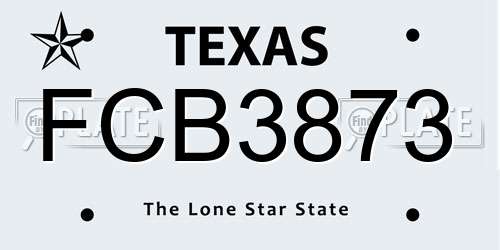 FCB3873 Texas License Plate