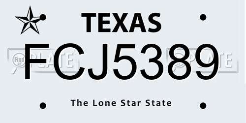 FCJ5389 Texas License Plate
