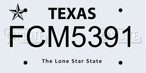 FCM5391 Texas License Plate
