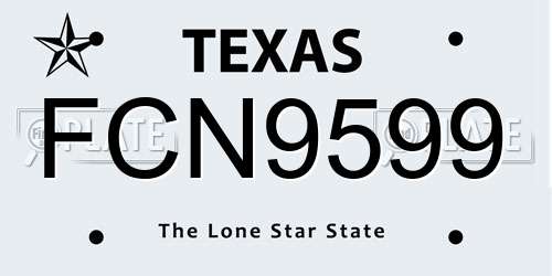 FCN9599 Texas License Plate