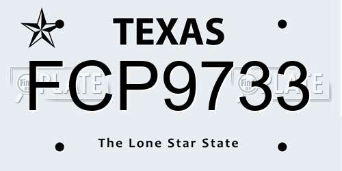 FCP9733 Texas License Plate