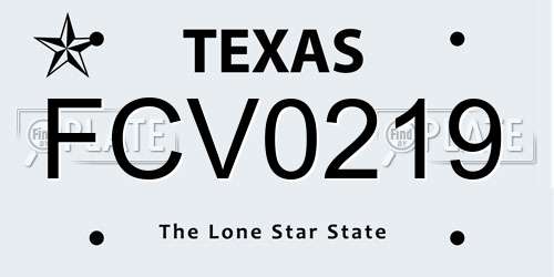 FCV0219 Texas License Plate